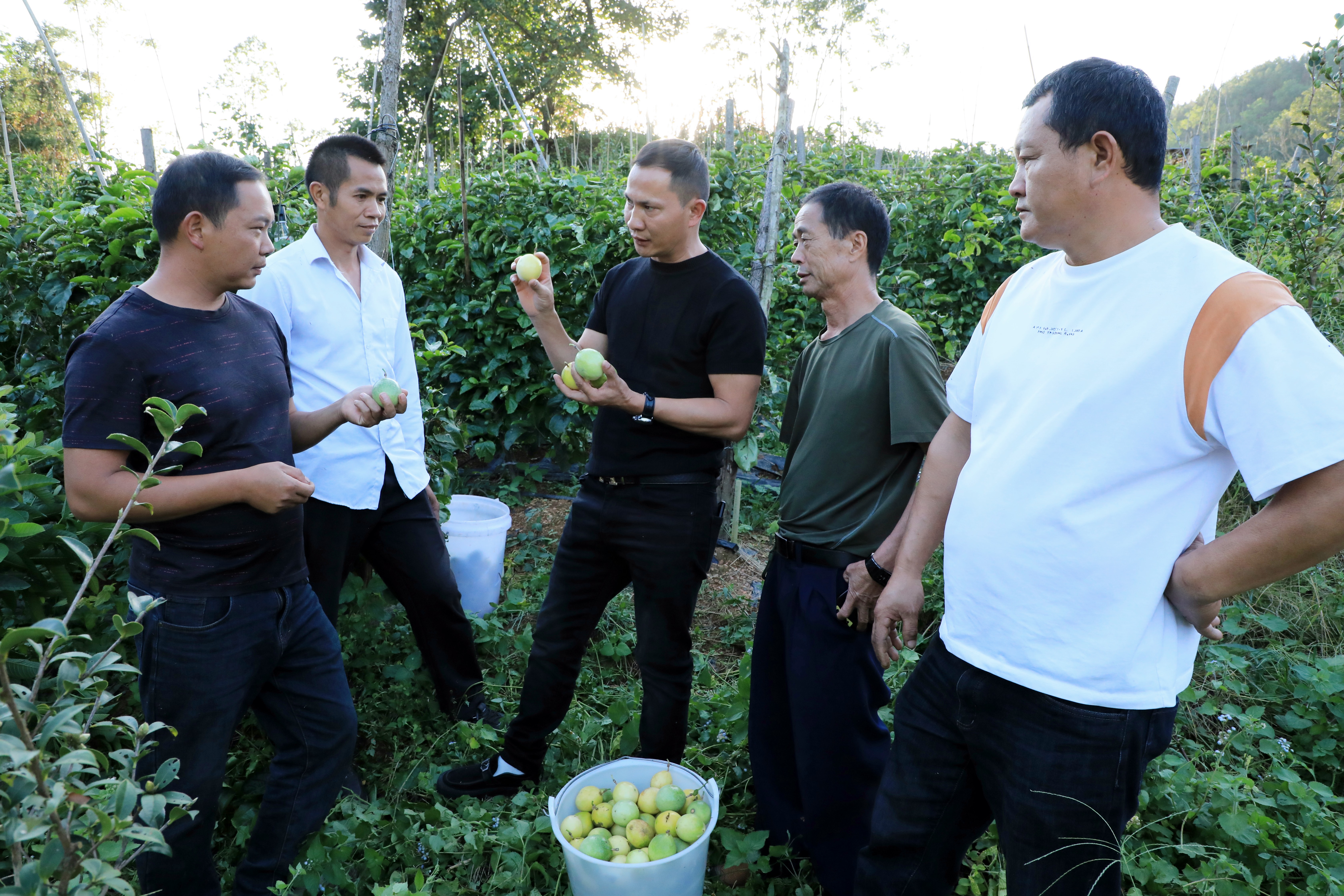 1730253701743927.jpg EV2A3418.JPG