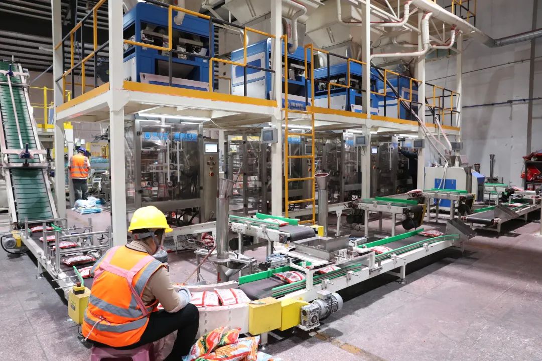 1731484029286023.jpg d456591e-1d05-4426-b8ed-d9d6cc9410e9.jpg