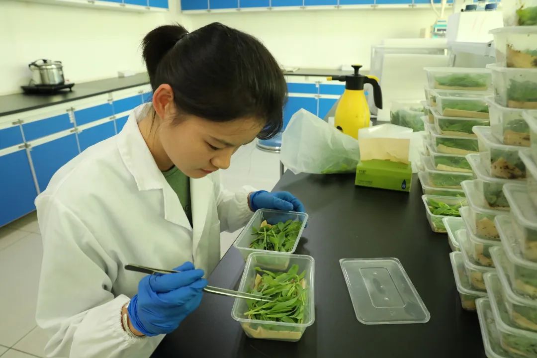 1731484153315269.jpg 66129120-e4a9-4f02-81ea-39dadaedfef8.jpg