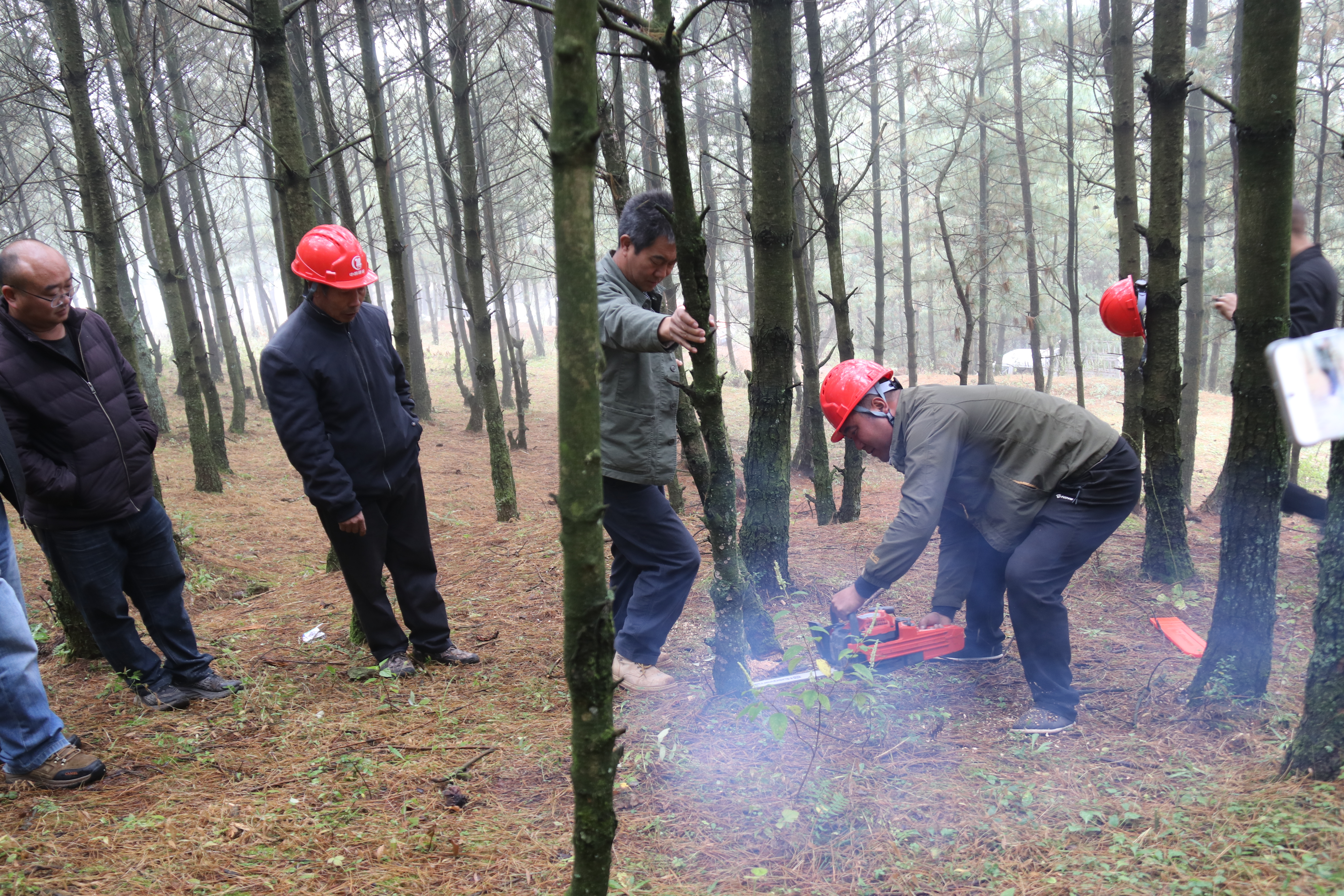 1732525176183402.jpg IMG_8738.JPG