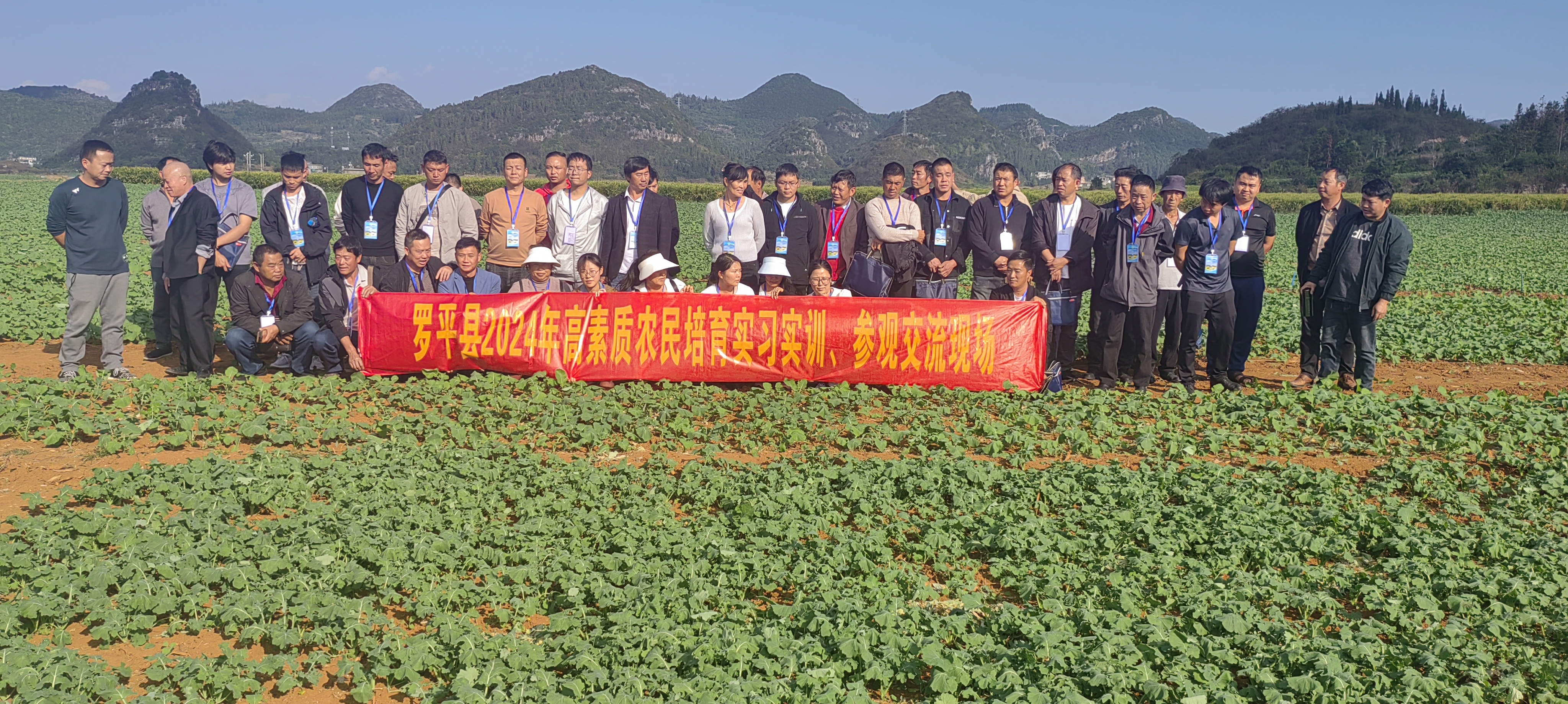 1732605708550079.jpg 微信图片_20241126111330.jpg