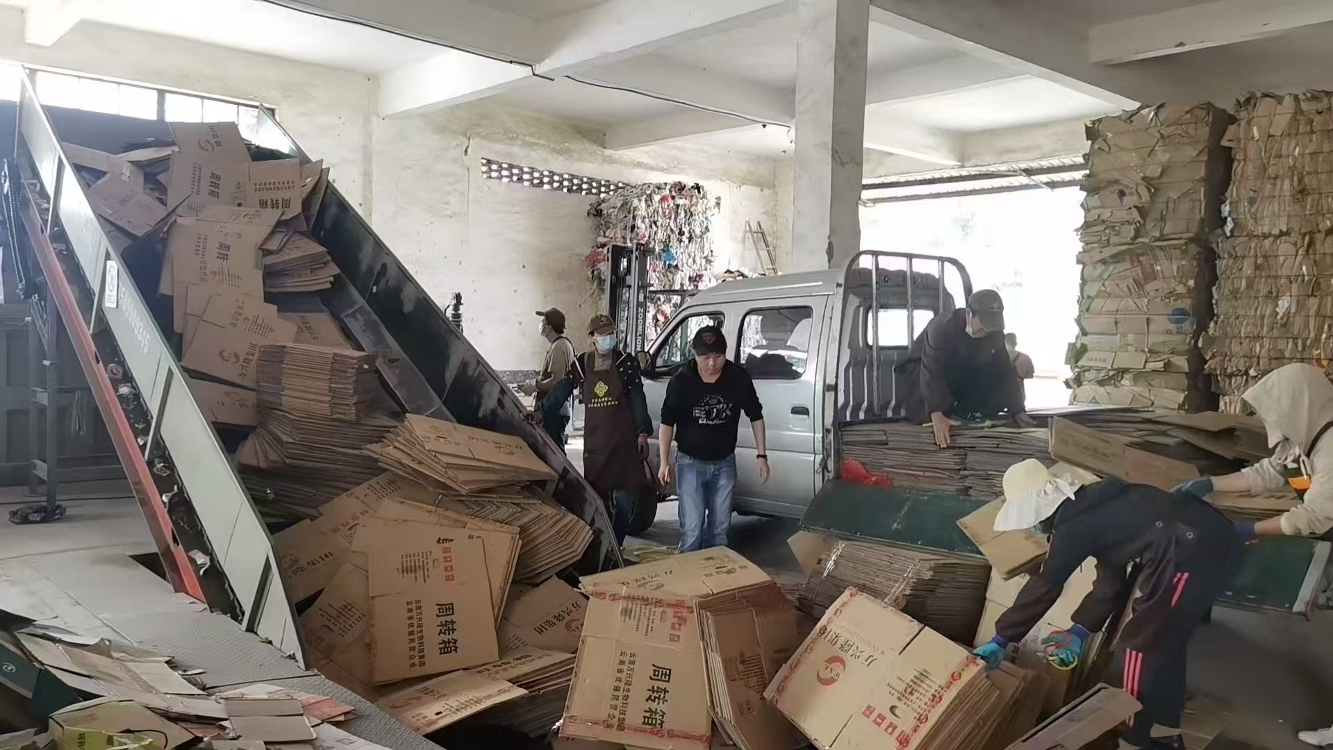 1737687733825590.jpg 05.jpg