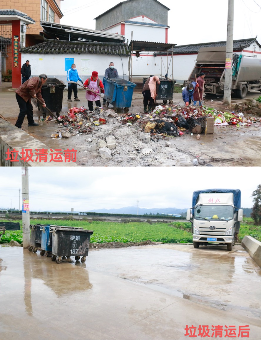 1739156337550181.jpg 1.jpg