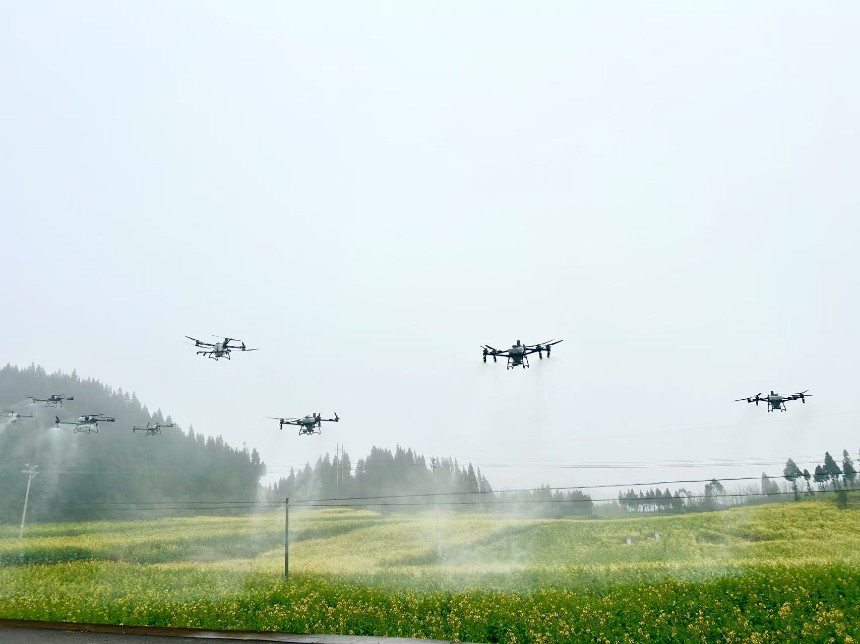 1739260679930002.jpg 微信图片_20250211104759.jpg