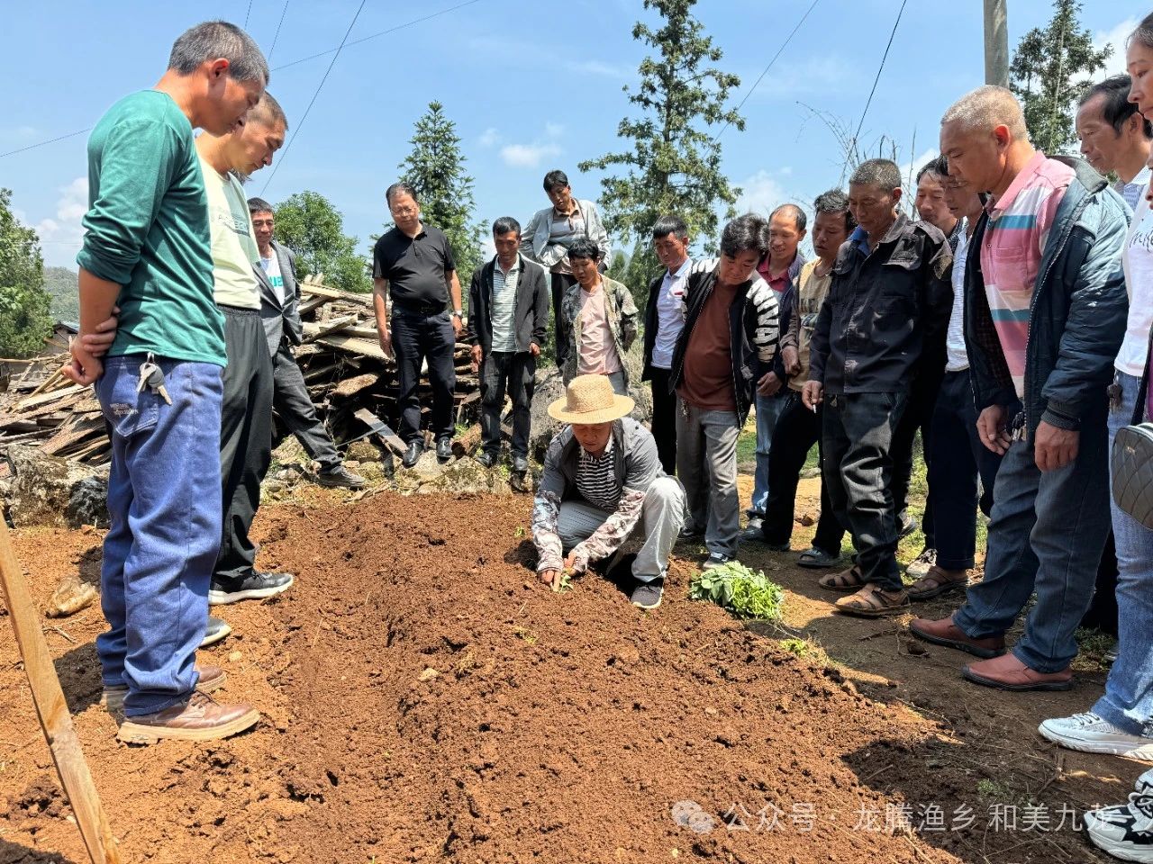 1739438268146450.jpg 微信图片_20250212163227.jpg