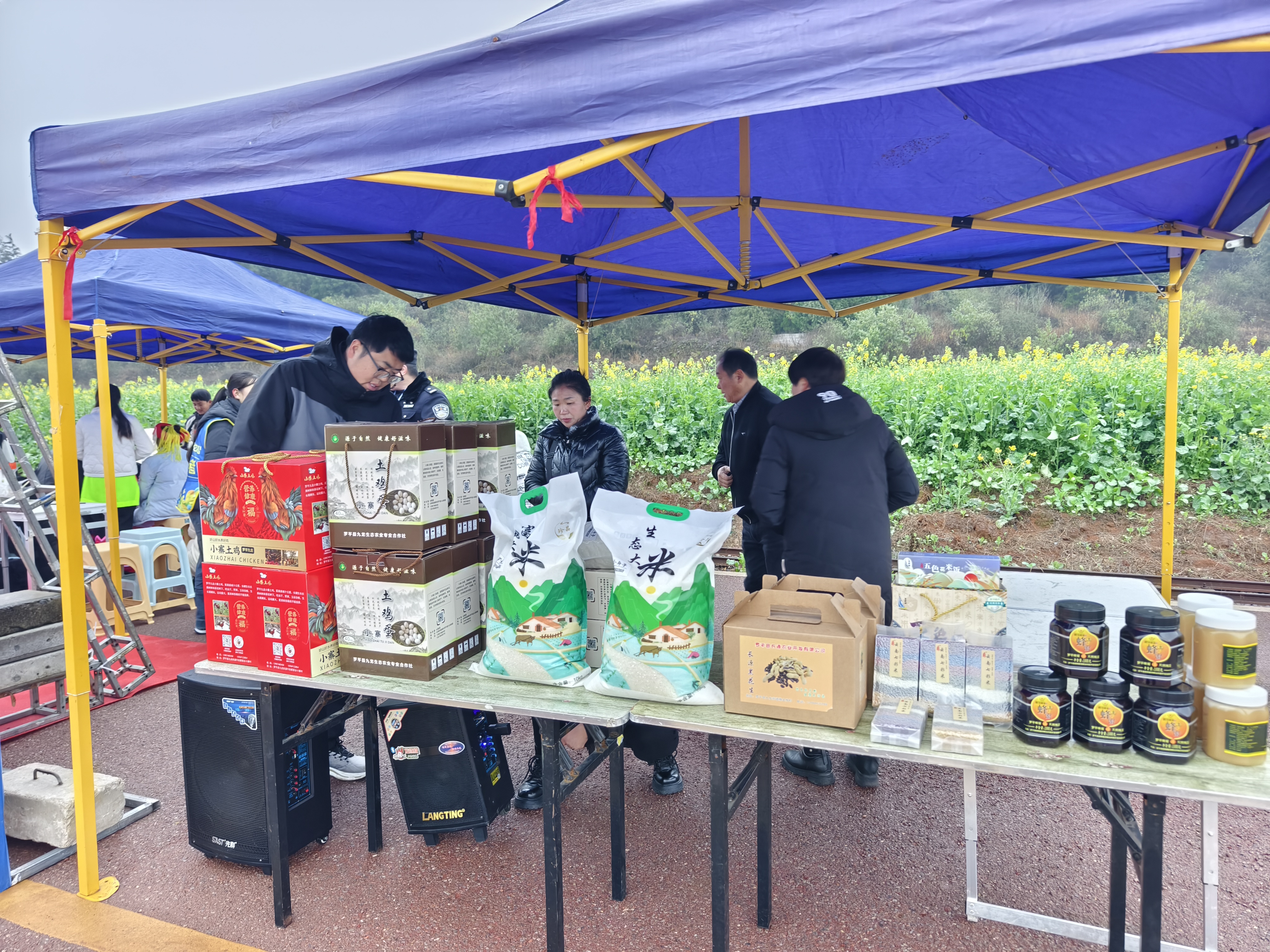 1740449318592690.jpg 834cd69d8c8d0d59d0cf25b3774c4f1.jpg