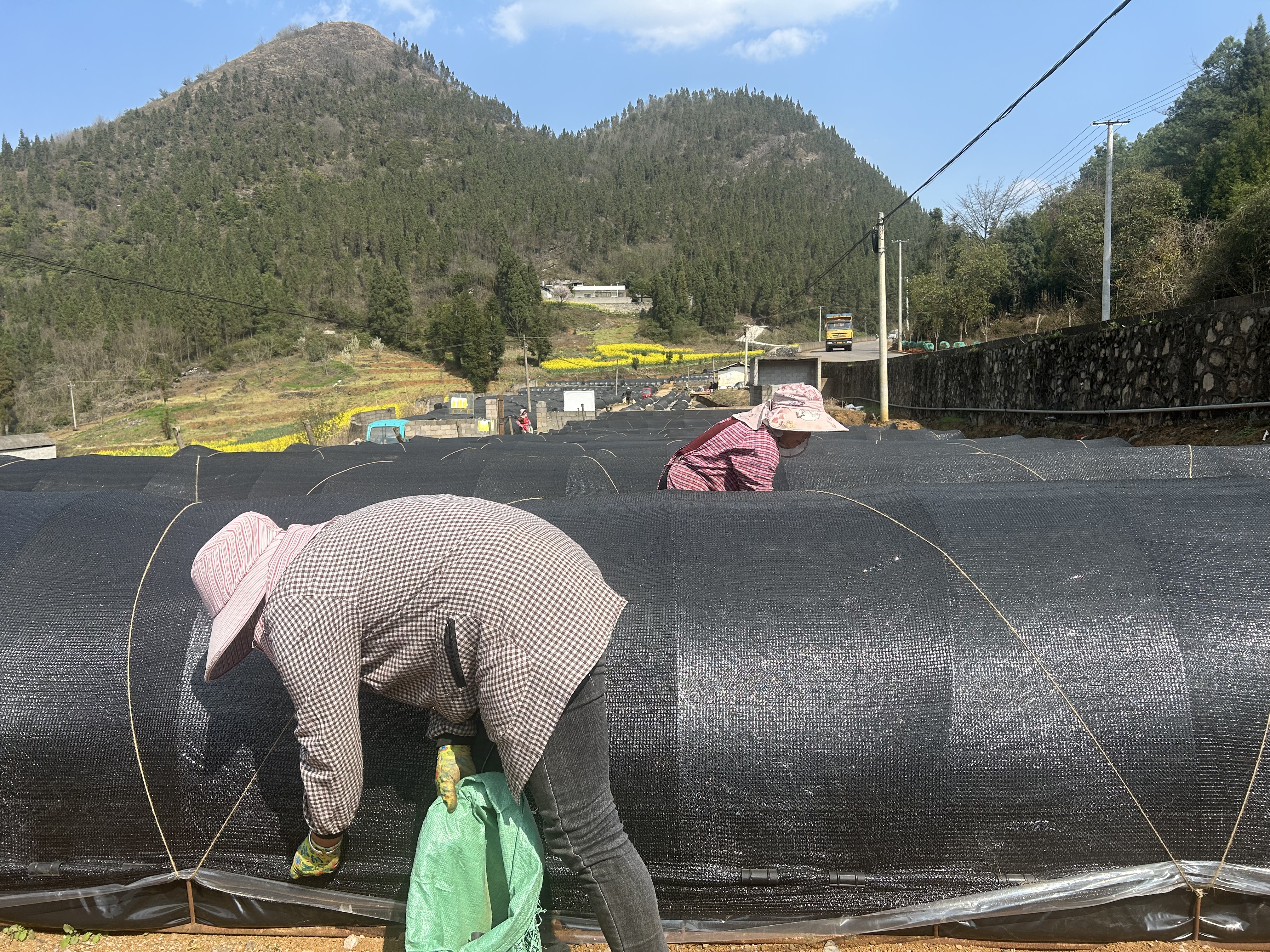 1741145792267217.jpg 微信图片_20250304155831.jpg