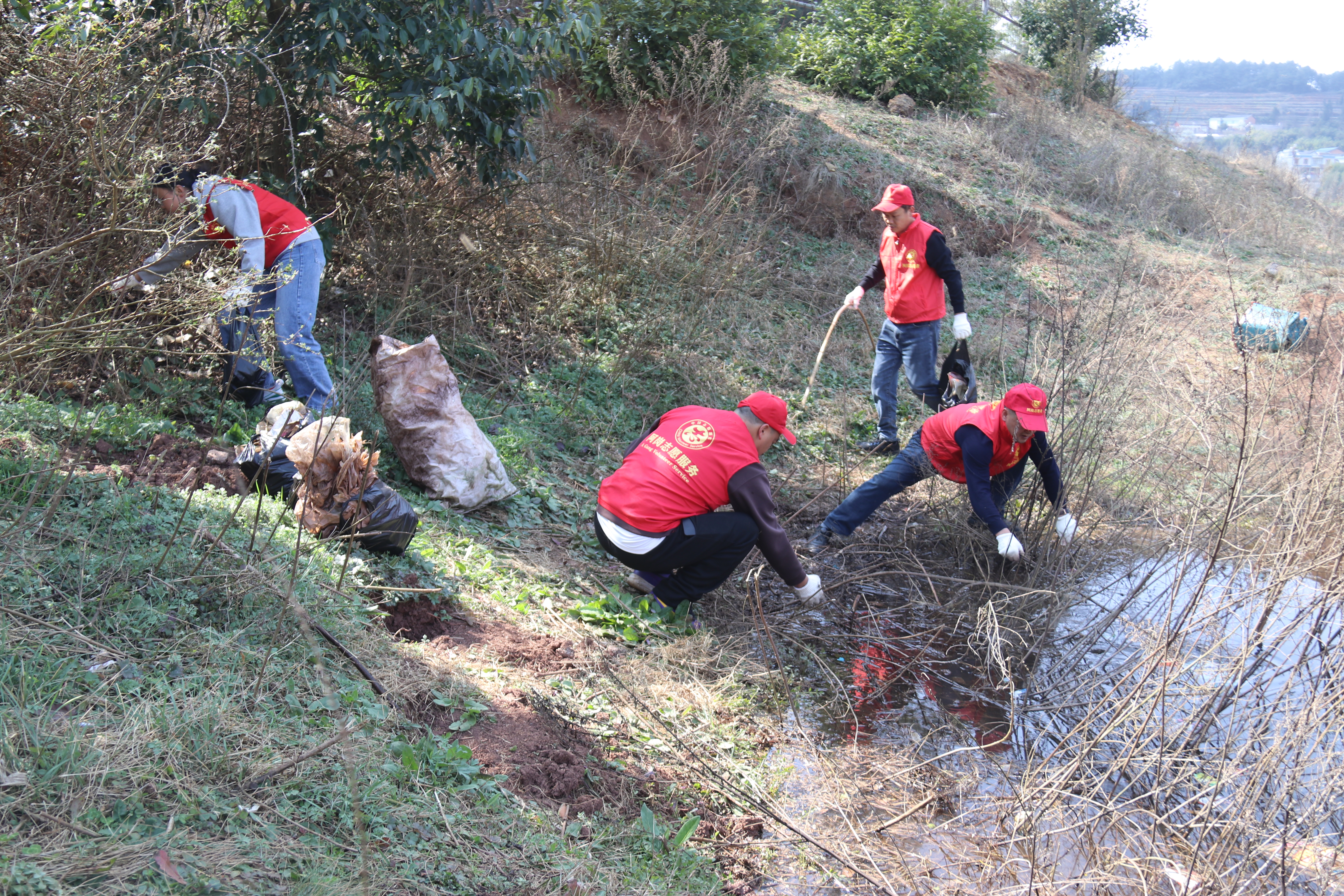 1741163446485504.jpg IMG_0090.JPG