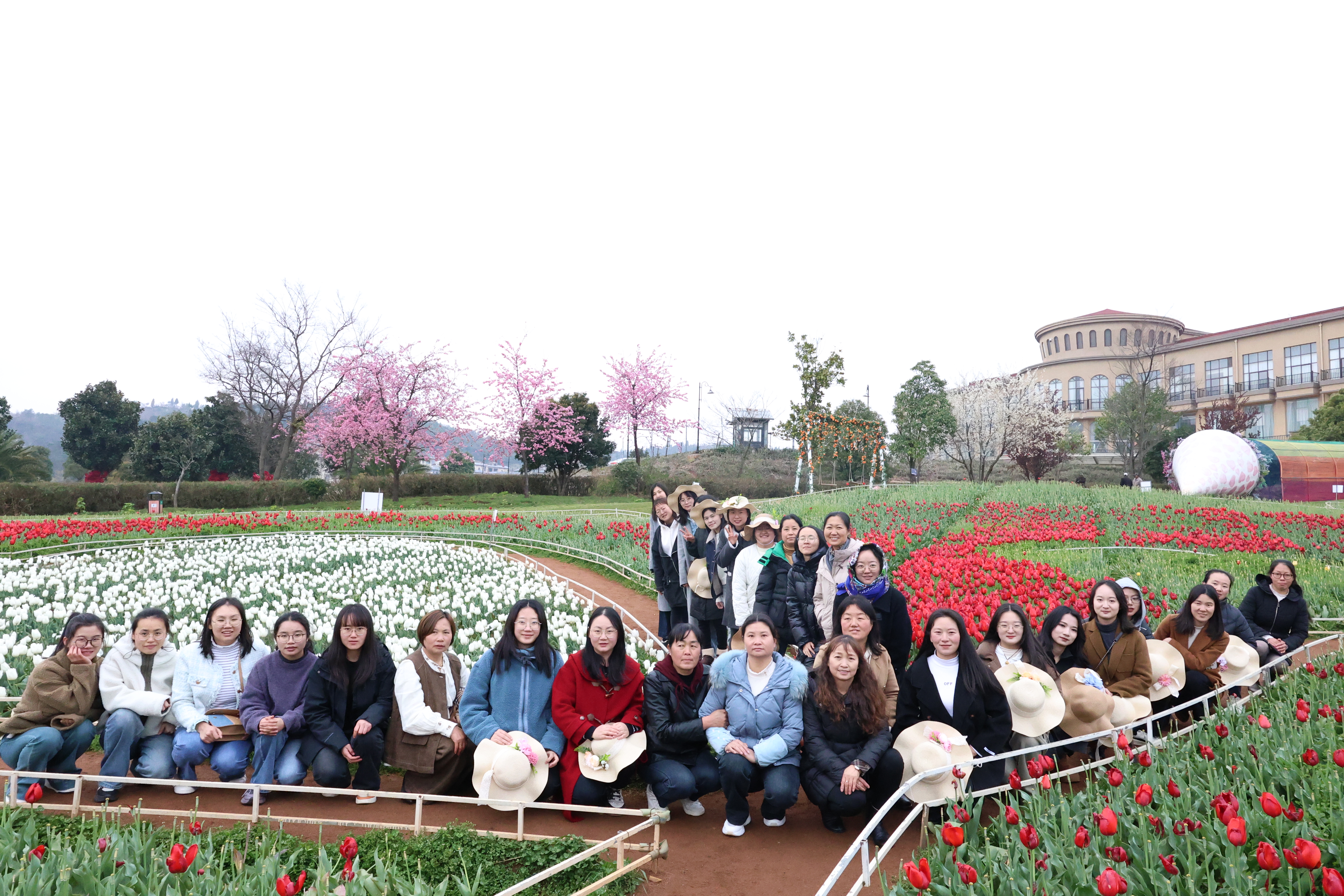 1741575057842060.jpg IMG_8083.JPG