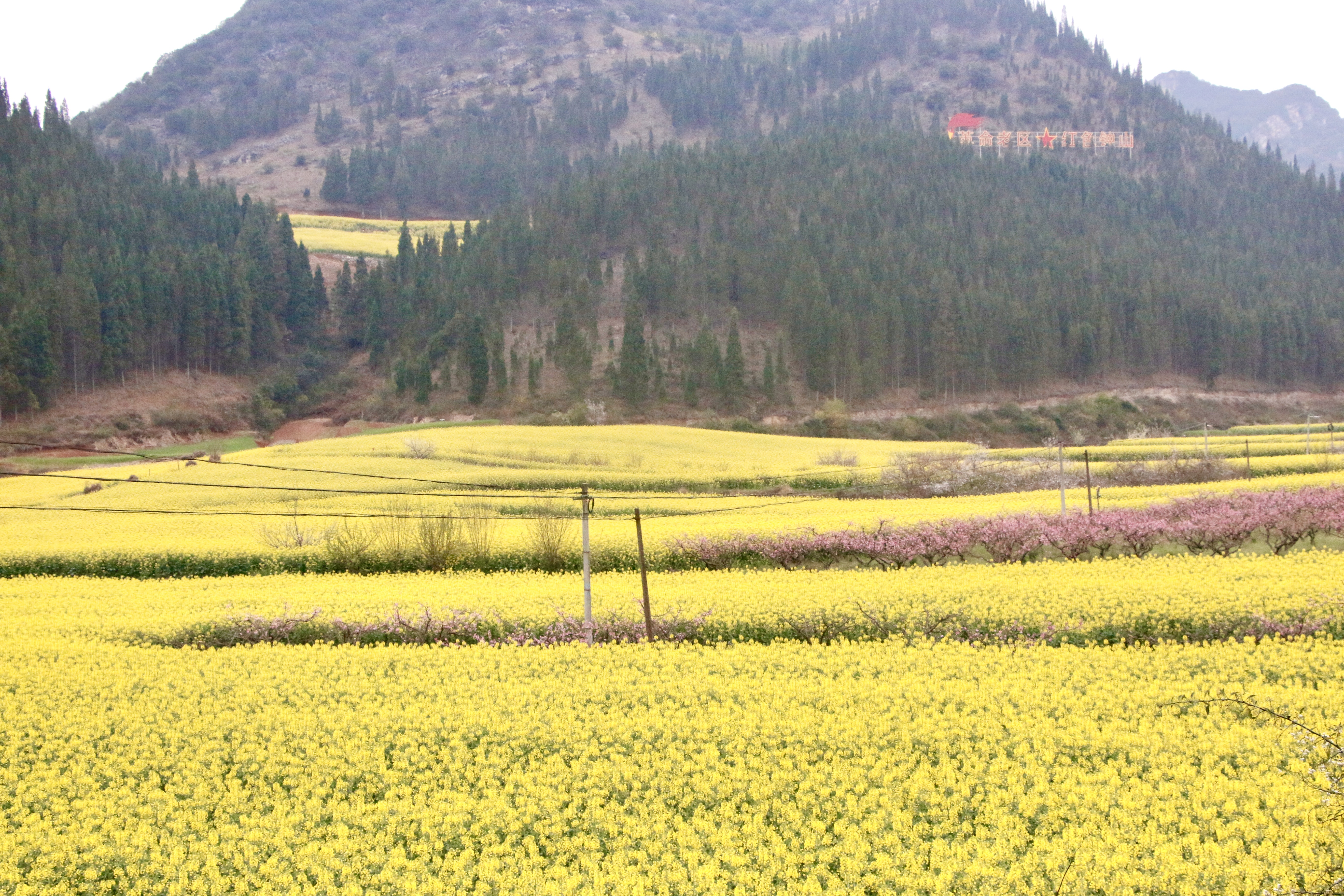 1741678845716902.jpg 微信图片_20250310163336.jpg