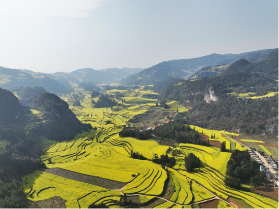 1743043103165065.png image.png