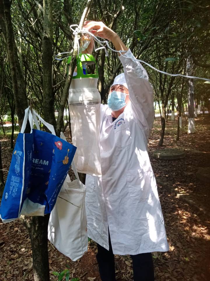 1753156305734977.jpg ba6aaecf9895352bcc3dd447376377b.jpg