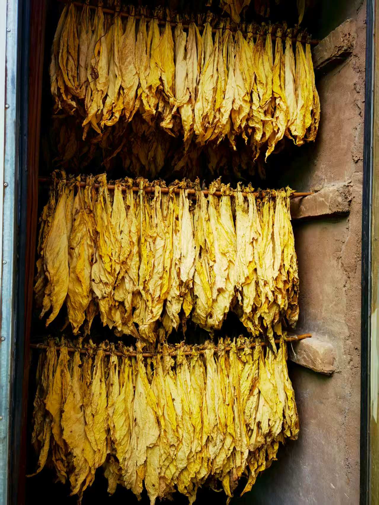 1755832716493426.jpg d3864def135c4668f58fc2e91907899.jpg