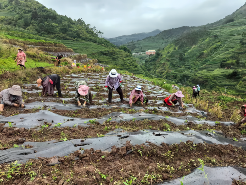 1755847610791351.png 3.png